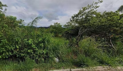 Terreno para Venda em Florianópolis, Canasvieiras