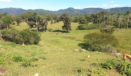 Terreno para Venda em Florianópolis, Ratones