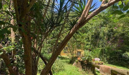 Terreno para Venda em Florianópolis, Rio Tavares