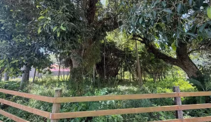 Terreno para Venda em Florianópolis, Jurerê