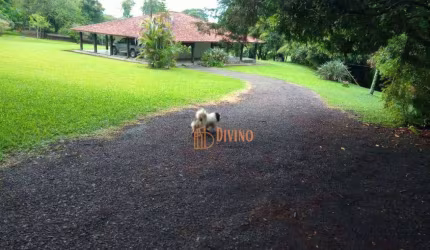 Fazenda à venda, 150 Alqueires por R$ 25.000.000 - Zona Rural - Ortigueira/PR