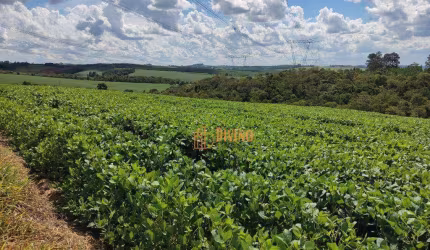 Sítio à venda, 30 Alqueires por R$ 6.000.000 - São Miguel Arcanjo/SP