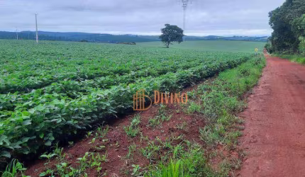 Fazenda à venda, 30 Alqueires por R$ 10.500.000 - Zona Rural - Tatuí/SP