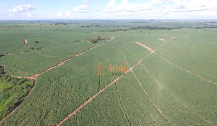 Fazenda à venda, 263 Alqueires por R$ 51.000.000 - Zona Rural - Mirandópolis/SP