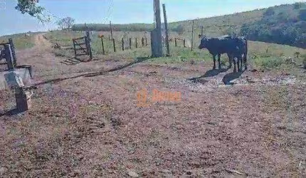 Fazenda à venda, 67 Alqueires por R$ 16.000.000 - Área Rural - Itapetininga/SP
