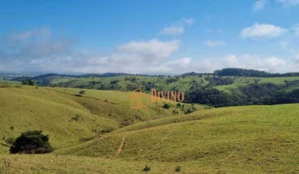 Fazenda à venda, 162 Alqueires por R$ 21.060.000 - Zona Rural - Capão Bonito/SP