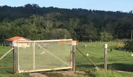 Sítio à venda, 20 Alqueires por R$ 2.800.000 - Área Rural - Itapetininga/SP