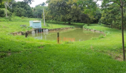 Sítio à venda, 43 Hectares por R$  3.500.000,00  - Marília/SP