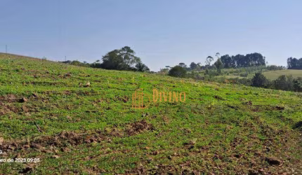 Sítio com 3 dormitórios à venda, 72600 m² por R$ 830.000 -  São Miguel Arcanjo/SP