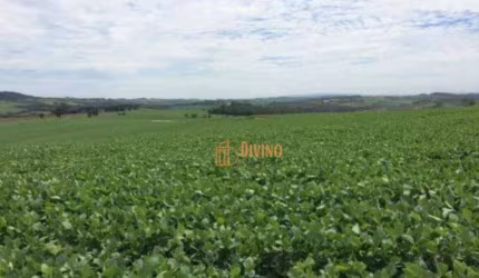 Fazenda com 3 dormitórios à venda, 1185800 m² por R$ 10.500.000 - Zona Rural - Tatuí/SP