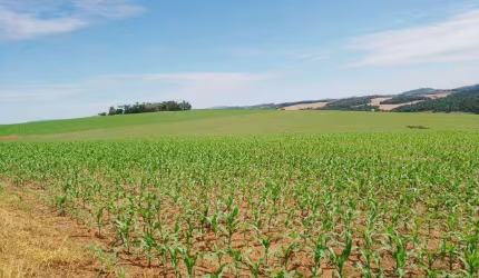 Fazenda à Venda em Itaporanga, SP - 270 Alqueires Oportunidade Única!