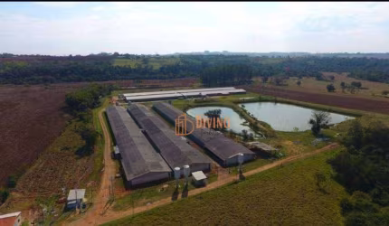 Sítio à venda, 8 Alqueires por R$ 15.000.000 - Cesario Lange - Cesário Lange/SP