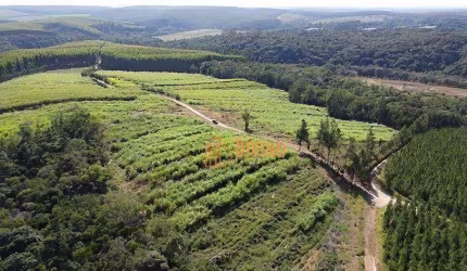 Sítio à venda, (Aceita 50% Permuta)  19 Alqueires por R$ 2.500.000 - São Miguel Arcanjo/SP