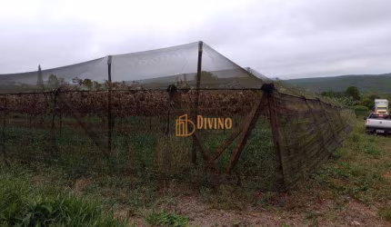 Sítio à venda, 82280 m² por R$ 700.000 - Abaitinga - São Miguel Arcanjo/SP