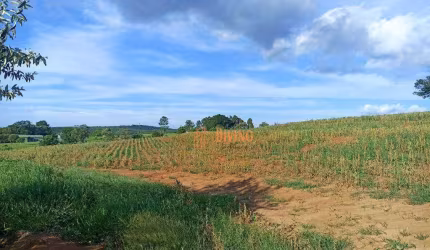 Sítio à venda, 11,7 Alqueires por R$ 3.000.000 - Zona Rural - Tatuí/SP