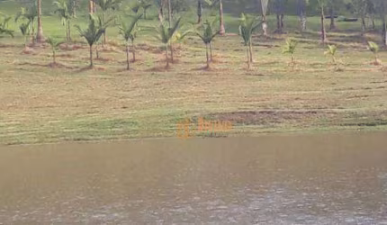 Fazenda à venda, 50 Alqueires por R$ 8.500.000 - Zona Rural - Piedade/SP