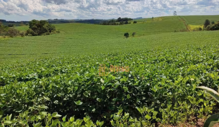 Sítio Produtivo à Venda em São Miguel Arcanjo, SP