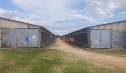 Sítio com Granja à Venda na Região de Itapetininga-SP