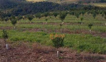 Sítio à Venda em São Miguel Arcanjo - SP