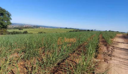 Fazenda com Cana à Venda na Região de Sorocaba-SP Preço: R$ 25.000.000,00