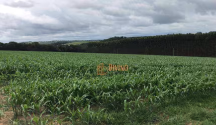 Sítio à Venda Próximo a Sarapui, SP