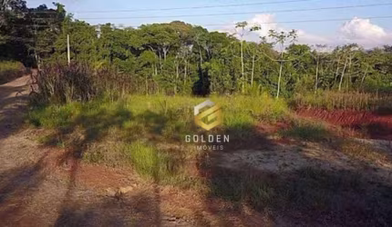 Terreno à venda, 1499 m² por R$ 200.000,00 - Centro - Canelinha/SC