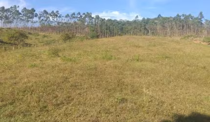 *Área Rural no Moura em Canelinha,  área com 63.000,00m²! *