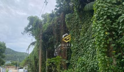 Terreno à venda, 280 m² por R$ 390.000 - Zimbros - Bombinhas/SC