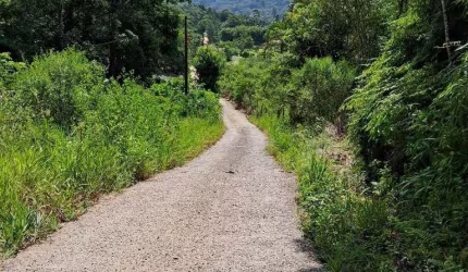 Terreno à venda,3000.00 m  no bairro MACACOS, CAMBORIU - SC