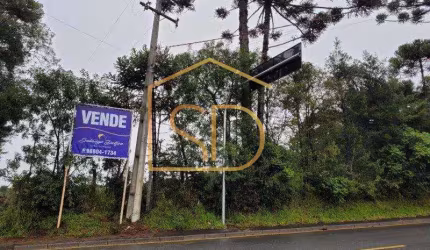 Ótimo Investimento - Área com 5 Alqueires , à venda em São José dos Pinhais, Costeira