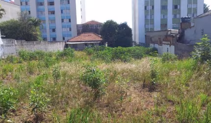 Locação Terreno Sao Caetano do Sul Barcelona Ref: 34784