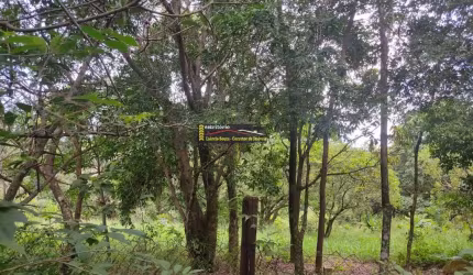 Terreno Venda em Valinhos SP, regiao de chácaras bairro Chácaras São Bento, região se chácaras 2.000m - R$ 590.000,00