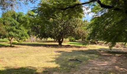 Terreno à Venda, cidade de Dois Córregos SP, Condomínio Bela Vista, Região de Santa Maria da Serra, Estuda Parmutas