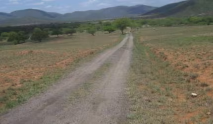 GRANDE OPORTUNIDADE PARA ADQUIRIR EXCELENTE FAZENDA ÀS MARGENS DA BR 116, NA REGIÃO DE JEQUIÉ - BAHIA!!