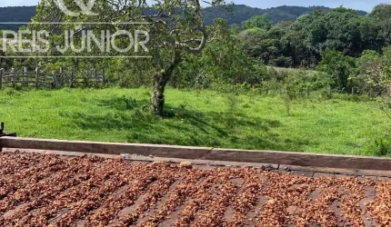 Fazenda à venda em Ilhéus-BA com 242 hectares de área!
