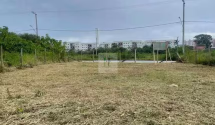 Terreno industrial Palhoça