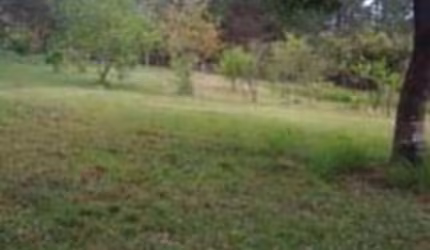 Terreno para venda com 2.800m2 em Caçapava