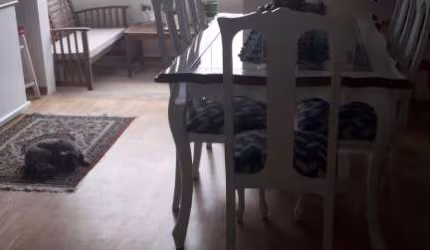 Apartamento para venda com 3 quartos no Bairro Jardim das Industrias