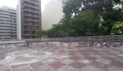 Casa de 3 quartos e 2 banheiros.