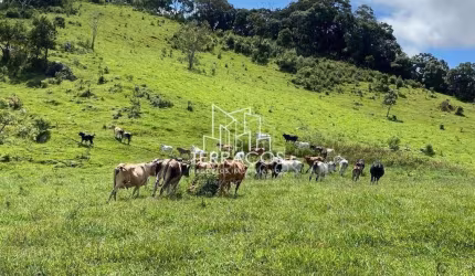 Sítio Rural à venda, Bairro Monjolinho Centro, Itapeva - SI0002.