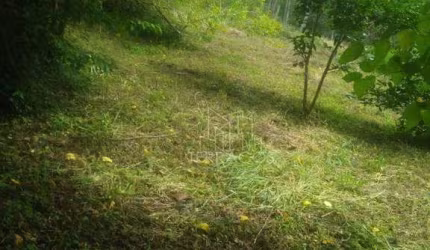 Chácara com 2 dormitórios à venda, 1600 m² por R$ 265.000,00 - Pinguela - Camanducaia/MG