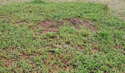 TERRENO À VENDA – EXCELENTE LOCALIZAÇÃO – BAIRRO CHÁCARAS SANTA MARTHA – VÁRZEA PAULISTA SP