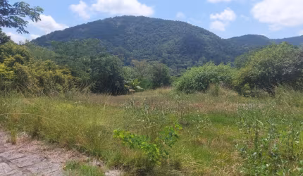 Maravilhoso Sítio na Ilha de Guaratiba
