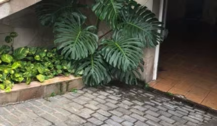 Excelente Sobrado na Água Fria