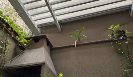 CASA EM CONDOMÍNIO FECHADO NO MELHOR DA VILA SANTA CATARINA!