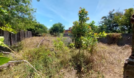 Invista em Terreno Promissor no Nordeste do Brasil!