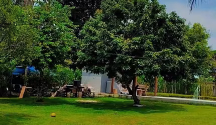 À VENDA BELISSIMA PROPRIEDADE 2.000m²