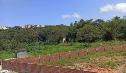 Terreno para Venda em Salvador, Cassange