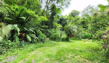 Asset Imóveis vende sítio, 164.347m² (16,434 hectares), por R$ 3.600.000 - Engenho do Mato - Niterói/RJ