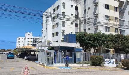 Mar de Aruana 2